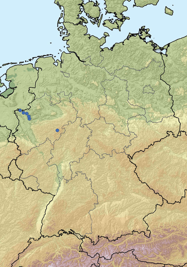 Location of farms with PCR-positive cattle (blue dots) in North Rhine-Westphalia, Germany.