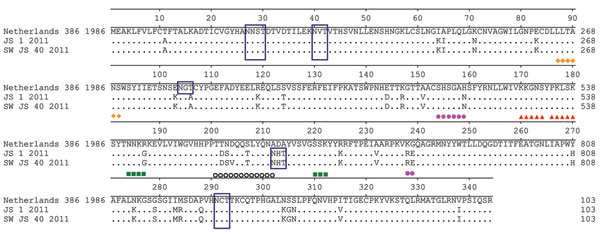 Multiple alignment of hemagglutinin protein sequences. Epitopes Sa, Sb, Ca1, Ca2, and Cb are indicated. Triangle, Sa; circle, Sb; square, Ca1; hexagon, Ca2; diamond, Cb. Putative glycosylation sites are indicated in blue-lined boxes.