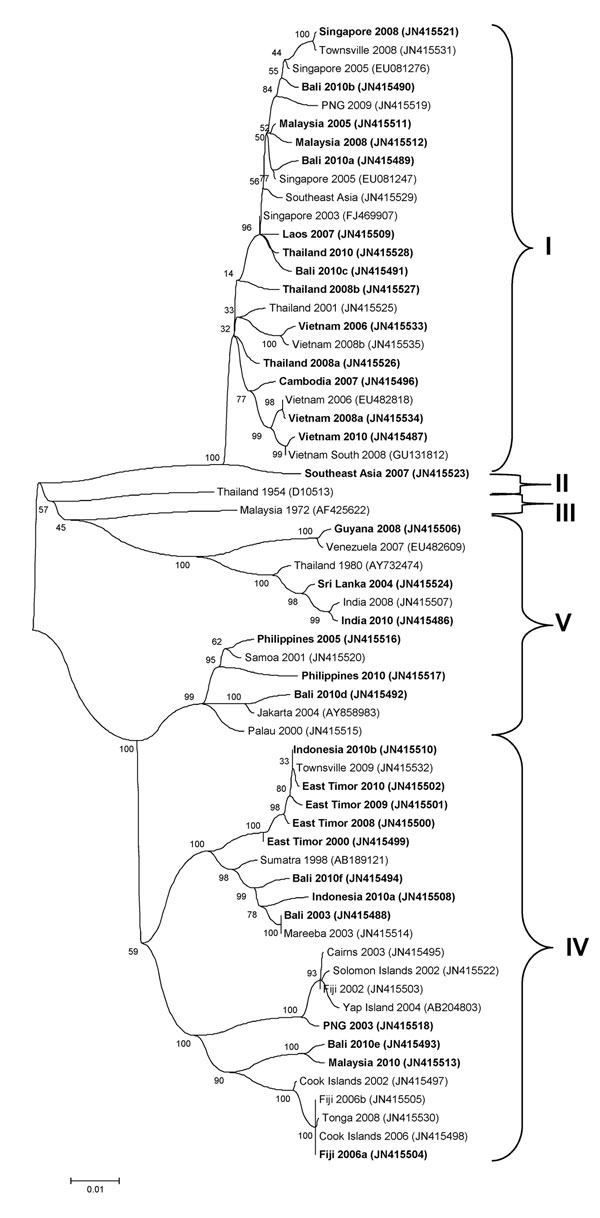 Phylogenetic tree showing the relationship of dengue viruses, serotype 1, imported into Queensland, Australia, 2001–2010, based on sequencing of the envelope gene. Viruses are designated according to reported origin and GenBank accession number, and imported cases are shown in boldface. Genotypes are indicated on the right. Scale bar indicates nucleotide substitutions per site.