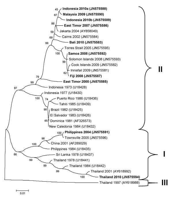 Phylogenetic tree showing the relationship of dengue viruses, serotype 4, imported into Queensland, Australia, 2002–2010, based on sequencing of the envelope gene. Viruses are designated according to reported origin and GenBank accession number, and imported cases are shown in boldface. Genotypes are indicated on the right. Scale bar indicates nucleotide substitutions per site.
