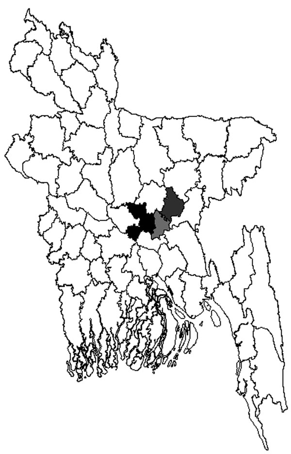 Three districts of Bangladesh from which samples were tested for Arctic/Arctic-like rabies virus and strains were found, 2010. Black, Dhaka District, strains BDR1, BDR3, and BDR6; light gray, Narayanganj District, strains BDR4, BDR5, and BDR7; dark gray, Narshingdi District, strain BDR2.