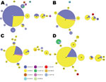 Thumbnail of Minimum spanning trees depicting allele changes within the Bordetella pertussis population, United States, 1997–2009. Multilocus variable number tandem repeat analysis (MLVA) types are represented by circles and are scaled to member count; multilocus sequence typing (MLST) types are represented by color. A) Period 5, 1997–1999, n = 159, the early years of acellular pertussis vaccine (aP) use. B) Period 6, 2000–2002, n = 98. With aP in use, MLVA 27 with the fim3B allele dominated. C)