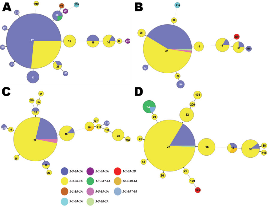Minimum spanning trees depicting allele changes within the Bordetella pertussis population, United States, 1997–2009. Multilocus variable number tandem repeat analysis (MLVA) types are represented by circles and are scaled to member count; multilocus sequence typing (MLST) types are represented by color. A) Period 5, 1997–1999, n = 159, the early years of acellular pertussis vaccine (aP) use. B) Period 6, 2000–2002, n = 98. With aP in use, MLVA 27 with the fim3B allele dominated. C) Period 7, 20