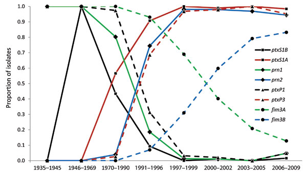 Transitions of frequency (by proportion of all isolates tested) of dominant alleles for each multilocus sequence typing (MLST) type target within the Bordetella pertussis population, United States, 1935–2009. The previous dominant type is denoted by a solid line, with the new dominant type denoted by a dashed line of the same style. The dashed lines of prn2 and ptxP3 overlap with each other and multilocus variable number tandem repeat analysis (MLVA) type 27 (Figure 6), which suggests they arose