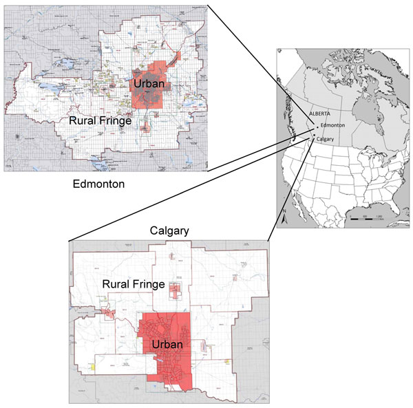 Calgary and Edmonton, Alberta, Canada, census metropolitan areas in which 91 coyote carcasses were collected during 2009–2011 and tested for Echinococcus multilocularis. Reference maps (2006) were obtained from the Geography Division, Statistics Canada (www12.statcan.gc.ca/census-recensement/2006/geo/index-eng.cfm). Urban core areas and surrounding rural fringes are indicated. For Edmonton, 5 (62.5%) of 8 carcasses were positive. For Calgary, 18 (20.5%) of 83 carcasses were positive: 9 (27.3%) o
