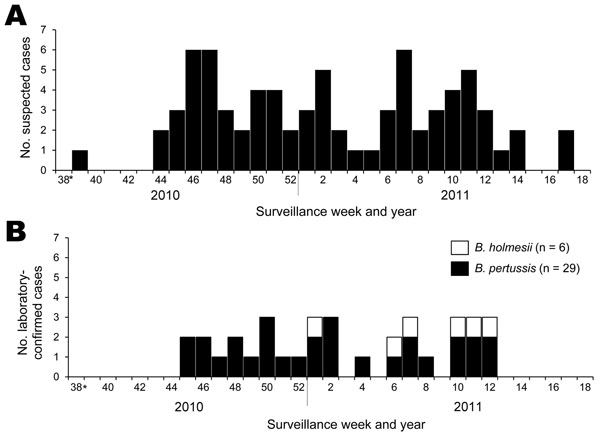 Epidemic curve of a pertussis outbreak, September 2010–April 2011, Japan. A) Suspected cases of pertussis. B) Laboratory-confirmed cases of Bordetella pertussis and B. holmesii infection. *As of September 20–26, 2010.
