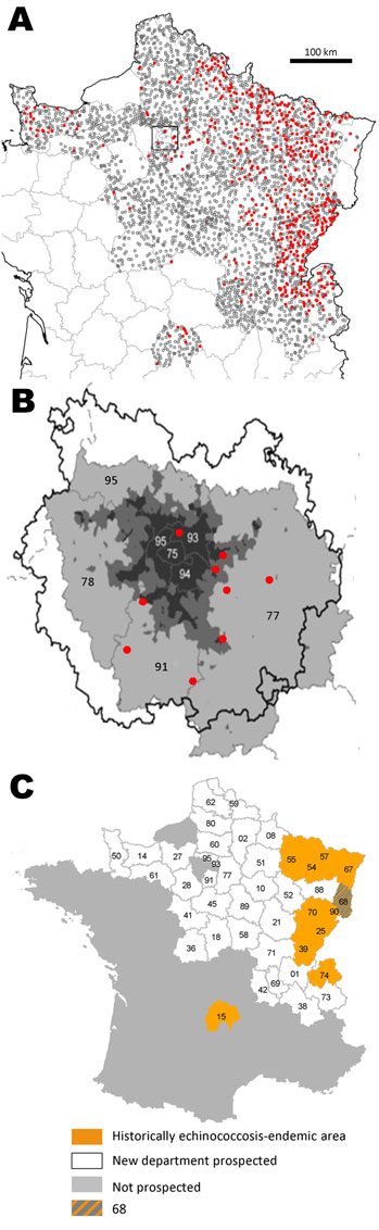 Fox locations (A, B) and department map (C), France, 2005–2010. Numbers in B and C are department national identification numbers. Panel B shows a close-up view of the departments of the Paris conurbation. Red circle, Echinococcosus multilocularis–positive fox; white circle, E. multilocularis–negative fox; dark gray, area totally urbanized (75 is Paris intra muros); medium gray, area intensively urbanized; light gray, periurban landscapes. C) Department 68 belongs to the historically echinococco