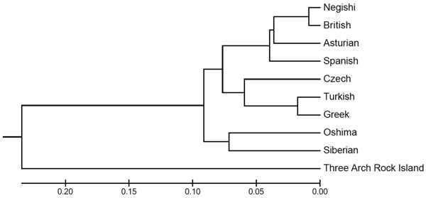 Phylogenetic relationships of the Asturian strain louping ill virus with representative tick-born encephalitis viruses. Phylogenetic and molecular evolutionary analyses of the virus were conducted using MEGA version 5 (9). Scale bar indicates branch length, proportional to the number of nucleotide substitutions. The Three Arch Rock Island virus was included as an outgroup.