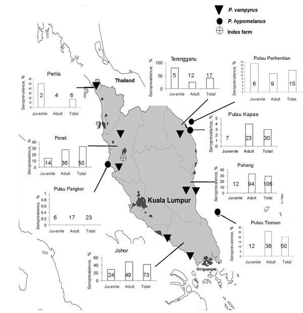 Trapping sites for Pteropus hypomelanus and P. vampyrus bats and seroprevalence of Nipah virus in 8 sites, Peninsular Malaysia, January 2004–September 2006. Values in the small graphs indicate number of positive samples.