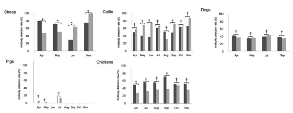 Serum antibody detection rate in domestic animals from Laizhou and Penglai counties, China, April–November 2011. Severe fever with thrombocytopenia syndrome virus N protein-specific antibodies were detected by double-antigen sandwich ELISA in serum samples of sheep, cattle, dogs, pigs, and chickens collected from Laizhou and Penglai counties in different months, and the antibody detection rates are presented. Black bars indicate samples from Laizhou; gray bars indicate samples from Penglai. The 