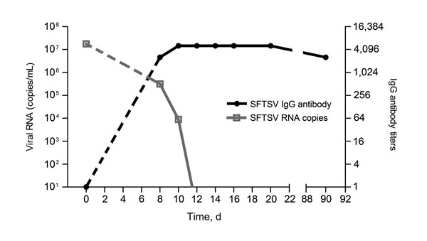 Time course of serum severe fever with thrombocytopenia syndrome virus (SFTSV) RNA and antibody in a naturally infected dog, China, 2011. SFTSV RNA copies and virus-specific antibodies were detected in serum samples from a dog on day 0, once every sample period of 2 days from day 8 to day 22, and on day 90. The gray open squares indicate viral copies; black circles indicate virus-specific IgG. The dashed lines indicate predicted time course of viral RNA and antibodies due to lack of data during 