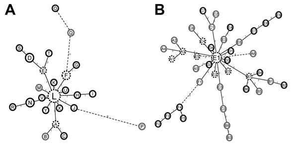 Mycobacterial interspersed repetitive unit–variable number tandem repeat (MIRU-VNTR) networks of major spoligotype clusters, Ethiopia, 2006–2010. Two large spoligotype clusters from lineage 4 (A) (90 isolates of spligotype 149) and lineage 3 (B) (73 isolates of spoligotype 25) were further characterized by 24-loci MIRU-VNTR typing (Technical Appendix Table 2). Minimum-spanning trees were calculated for each cluster by using MIRU-VNTRplus (www.miru-vntrplus.org). Each circle indicates an individu