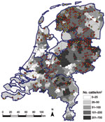 Thumbnail of Geographic distribution of dairy herds sampled in study of Schmallenberg virus seroprevalence with positive results (&gt;1 animals sampled tested seropositive; red dots) and negative results (all animals sampled tested seronegative; yellow dots), the Netherlands, 2011–2012. Cattle density is indicated by gray shading; blue outlines denote regional borders.