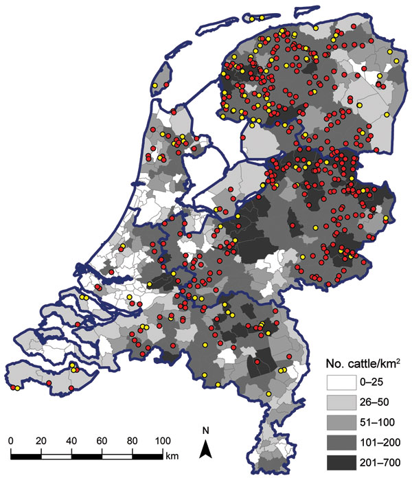 Geographic distribution of dairy herds sampled in study of Schmallenberg virus seroprevalence with positive results (&gt;1 animals sampled tested seropositive; red dots) and negative results (all animals sampled tested seronegative; yellow dots), the Netherlands, 2011–2012. Cattle density is indicated by gray shading; blue outlines denote regional borders.