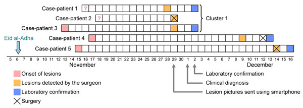 Natural history of Orf virus infection and diagnosis in 5 persons who butchered or prepared lambs as part of a religious practice for Eid al-Adha (the Muslim Feast of Sacrifice), Marseille, France, 2011. Arrows indicate events for the first cluster of cases among 3 related persons (a brother and sister and their aunt).