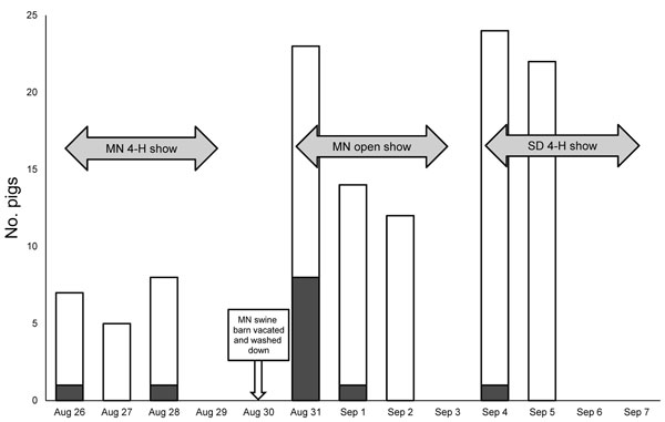 Show pigs with nasal swab specimens positive for influenza A virus by real-time reverse transcription PCR, Minnesota and South Dakota state fairs, 2009. MN, Minnesota; SD, South Dakota. White, total number of pigs swabbed; gray, pigs testing positive for influenza A by real-time reverse transcription PCR.