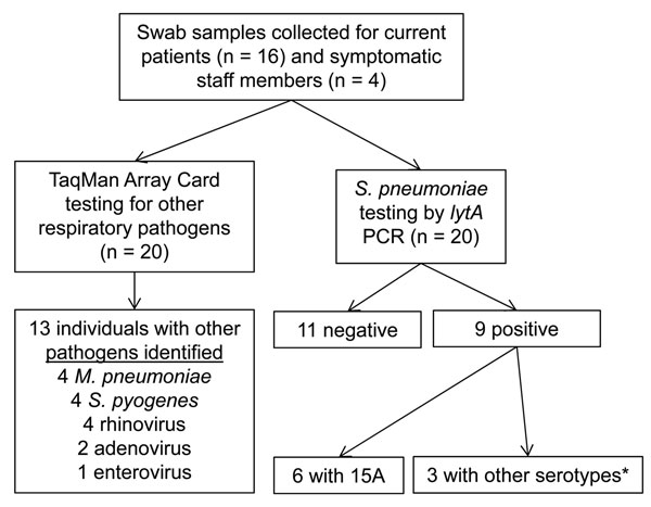 Respiratory pathogen carriage survey related to Streptococcus pneumoniae serotype 15A outbreak in a pediatric psychiatric hospital, Rhode Island, USA, December 25, 2010–January 31, 2011, performed on Unit 1 patients (n = 16) and symptomatic staff (n = 4) during January 29–February 2. No visitors were screened for respiratory pathogen carriage. Nasopharyngeal (NP) and oropharyngeal (OP) swab specimens were taken from each participant. TaqMan Array Card (TAC) used to test for influenza A (H1 and H