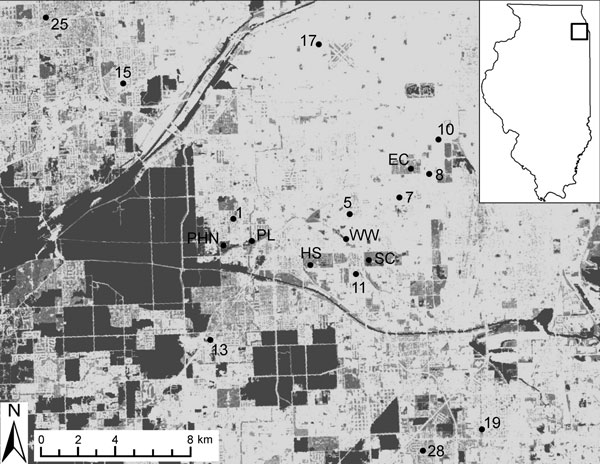 Map of field sites used for sampling birds in southwest suburban Chicago, Illinois, USA, 2005–2010. Sites consist of residential areas (numbered sites) and urban green spaces (lettered sites). Two residential sites not shown on the map (21 and 22) are ≈20 km north of this region. Box in inset map indicates location of sampling area. Main map shows the landscape gradient of impervious surfaces (National Land Cover Database 2001, US Geological Survey, Sioux Falls, SD, USA): dark gray areas are tho