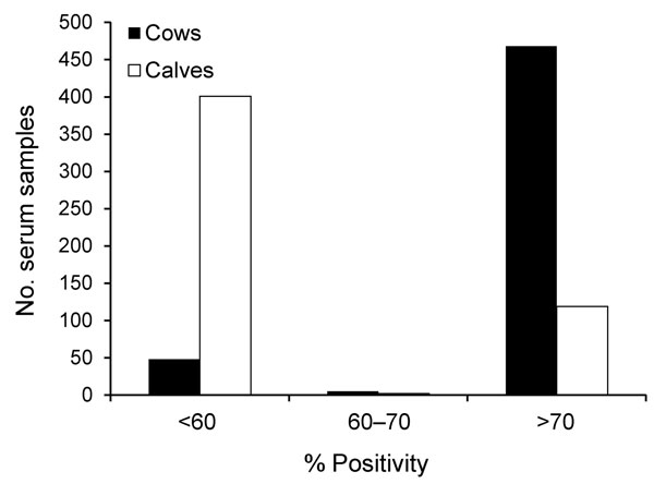 Frequency distribution of the results yielded by indirect ELISA for detecting IgG targeting recombinant nucleoprotein of the emerging Schmallenberg virus in serum samples from 519 cows, Belgium, 2012. Results are expressed as percentages of the reference signal yielded by the kit positive control serum, with serologic status defined as negative (&lt;60%), doubtful (&gt;60% and &lt;70%), or positive (&gt;70%) by the manufacturer.