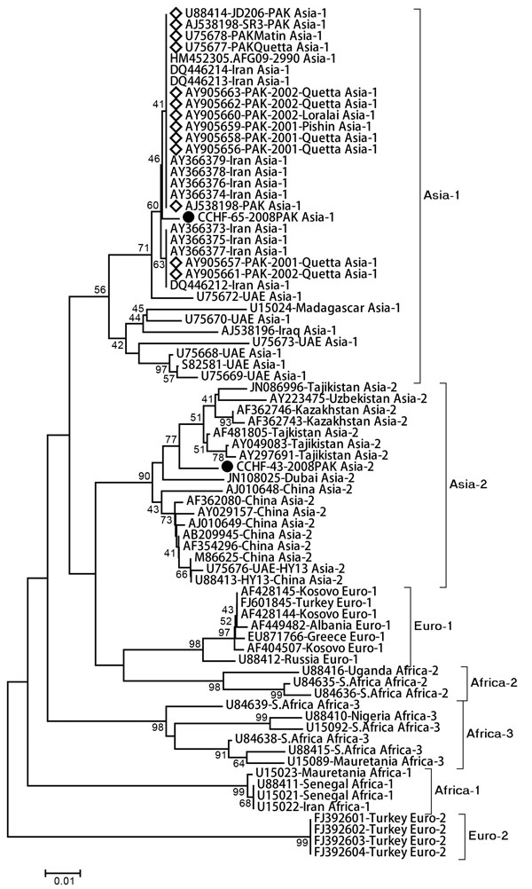 Phylogenetic analysis of partial small gene fragment (220 bp) obtained from Crimean-Congo hemorrhagic fever virus strains analyzed in this study (black circles). Reference strains belong to different genogroups as retrieved from GenBank. Diamonds indicate virus sequences previously reported from Pakistan. Evolutionary tree and distances (scale bar indicates number of base substitutions per site) were generated with the maximum composite likelihood method with Kimura-2 parameter distances by usin