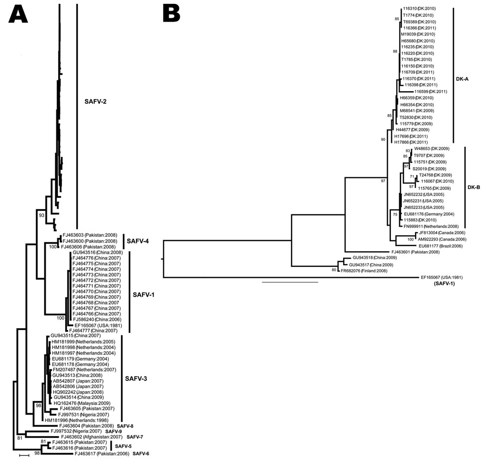 Phylogenetic analyses of Saffold viruses (SAFVs). Phylogenetic analysis of SAFV-2. Strains from Denmark are named by using the isolation numbers assigned for the study, then the country of origin and year of sampling in parentheses. The 2 subgroups (DK-A and -B) are shown. The tree is rooted by using SAFV-1 outgroup sequence accession no. EF165067. Bootstrap values &gt;70% are shown. DK, Denmark; US, United States. Scale bar represents nucleotide substitutions per site.