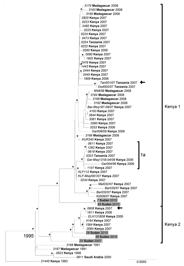Phylogenetic analysis of complete Rift Valley fever virus M (medium) segment sequences represented as an abbreviated maximum clade credibility tree. Asterisk indicates nodes with highest posterior density &gt;0.95. Sudan sequences are shaded. Arrow indicates reassortant viruses. Scale bar represents substitutions per site per year. The complete tree is presented in Technical Appendix Figure 2. Country names appear in boldface, and strain names appear in italics.