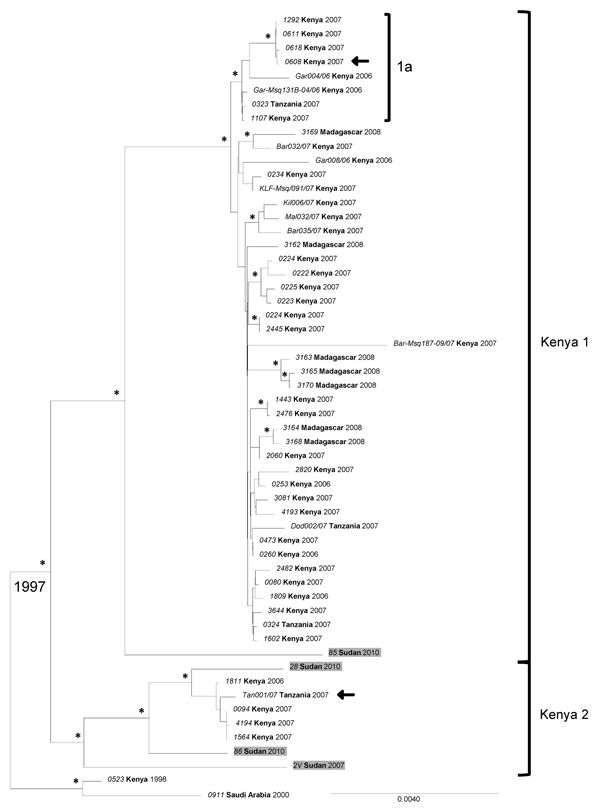 Phylogenetic analysis of complete Rift Valley fever virus L (large) segment sequences represented as an abbreviated maximum clade credibility tree. Asterisk indicates nodes with highest posterior density &gt;0.95. Sudan sequences are shaded. Arrow indicates reassortant viruses. Scale bar represents substitutions per site per year. The complete tree is presented in Technical Appendix Figure 3. Country names appear in boldface, and strain names appear in italics.