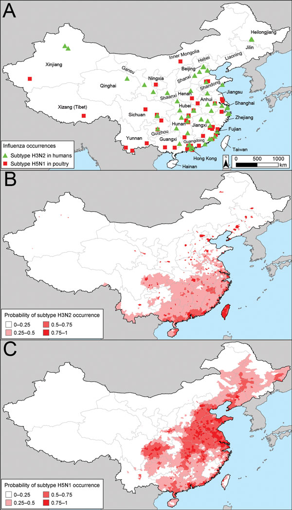 Influenza empirical data and occurrence maps for influenza virus subtypes H3N2 and H5N1. A) Observed cases of subtypes H3N2 and H5N1 in People’s Republic of China, according to outbreaks reported to the Chinese Ministry of Agriculture. B) Spatial model of the probability of subtype H3N2 at the prefecture scale predicted by using logistic regression. C) Risk for subtype H5N1 according to the outbreak dataset. See Technical Appendix Figure 2, for the corresponding map for the surveillance dataset.