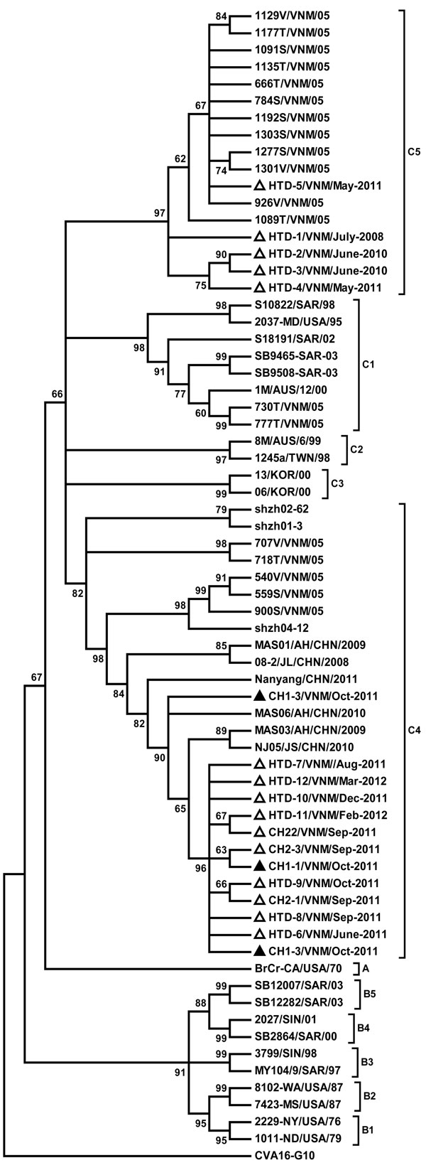 Phylogenetic tree of enterovirus 71 viral protein 1 constructed by MEGA4 (www.megasoftware.net) with neighbor-joining method showing the relationship of 18 local sequences from 2010 and 2011 (triangles). Sequence names consist of the following information: the hospital at which the sample was obtained (HTD, Hospital for Tropical Diseases; CH1, Children’s Hospital 1; CH2, Children’s Hospital 2 (all from Ho Chi Minh City, Vietnam]); number in chronologic order/VNM for Vietnam/date (month-year). Re