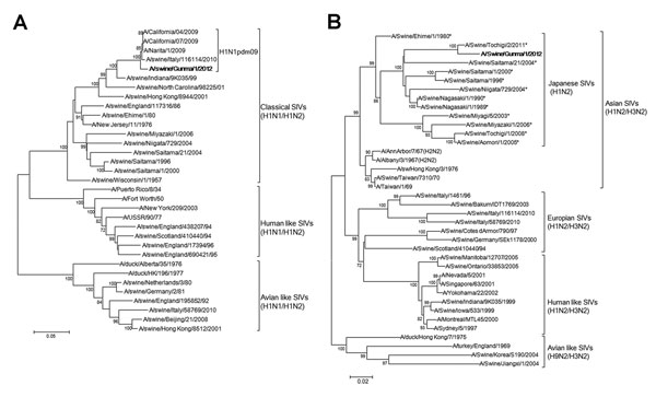 Phylogenetic tree based on the nucleotide sequences of hemagglutinin (A) and neuraminidase (B) genes of A/swine/Gunma/1/2012, a novel H1N2 swine influenza virus (SIV) strain. Distance was calculated according to the Kimura 2-parameter method; the trees were constructed by using the neighbor-joining method with labeling of the branches showing at least 70% bootstrap support. Boldface text indicates the novel strain reassorted from strains of the SIV H1N2 subtype. Asterisks indicate reference stra