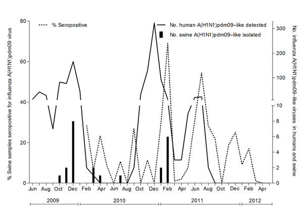 Distribution of percentage of swine serum samples seropositive for influenza A(H1N1)pdm09 viruses, by month, and number of A(H1N1)pdm09 viruses detected in humans and swine. The left y-axis represents the percentage of swine serum samples positive for A(H1N1)pdm09 virus. The right y-axis represents the number of swine A(H1N1)pdm09 isolated in the study and reverse transcription PCR–positive human A(H1N1)pdm09 detected in Sri Lanka.