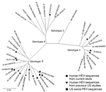 Thumbnail of Genetic relatedness among hepatitis E virus (HEV) strains identified in hepatitis E cases, United States. Phylogenetic tree was constructed from a segment of HEV open reading frame 1 generated in MEGA5 (www.megasoftware.net) by using the neighbor-joining method. Country, year reported, and numeric or GenBank accession number assignment are denoted. Scale bar indicates genetic distance.