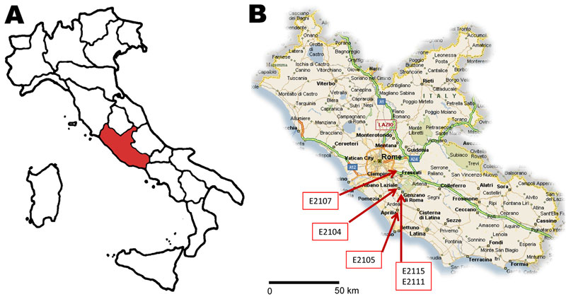 A) Lazio region of Italy (red). B) Residence location of 5 cases of hepatitis E virus (HEV) subtype 4d infection involved in an autochthonous outbreak, March–April 2011. (Map source: CartineGeografiche, Catania, Sicily, Italy; www.cartinegeografiche.eu)