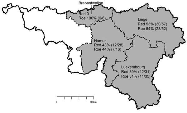 Location of 4 provinces in southeast Belgium (shaded) where 524 wild cervids (313 red deer and 211 roe deer) were killed during hunting seasons 2010 and 2011 and sampled. Seroprevelance for Schmallenberg virus is shown for each of the 225 deer killed in 2011. Source: Institut Géographique Nationale, Brussels, Belgium, 2001.