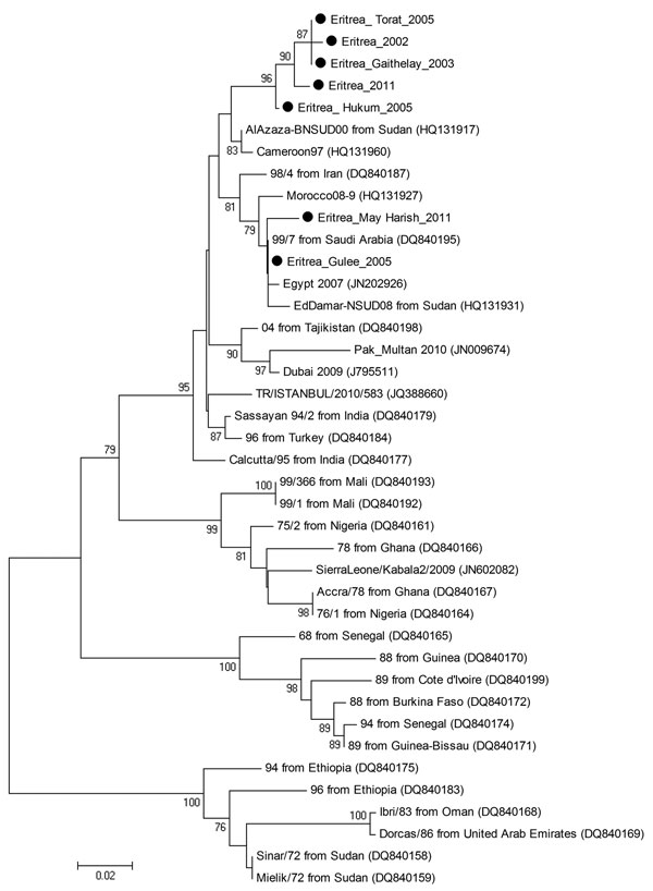 Phylogenetic tree showing the genetic relationships between isolates of peste des petits ruminants virus (PPRV). The tree was constructed on the basis of 255-nt sequences of the PPRV nucleoprotein gene. Black dots indicate sequences obtained in this study. Lineages are indicated on the right, and GenBank accession numbers are shown in parentheses. Analysis was performed by using the MEGA4 software (6) and neighbor-joining (maximum composite likelihood) methods. Bootstrap support values &gt;70 ar
