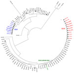 Thumbnail of Unrooted neighbor-joining tree computed in MEGA 5.0 (10) for multi-virulence locus sequence typing (MVLST) data based on sequencing of 6 virulence genes, prfA, inlB, inlC, dal, clpP, and lisR (3) obtained for the 93 Listeria monocytogenes isolates compared in this study. Nine isolates from cantaloupes were from the Centers for Disease Control and Prevention (CDC) (GenBank accession nos. JQ407055–JQ407078) and the Food and Drug Administration (FDA) (JX141237–JX141275), 23 isolates fr