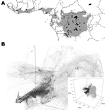 Thumbnail of A) Predicted geographic distribution in central and western Africa of suitable environments for monkeypox virus transmission on the basis of the Maxent algorithm (www.cs.princeton.edu/~schapire/maxent/). Gray shading represents suitable environmental conditions identified by the algorithm; circles indicate localities of monkeypox human cases used to build the ecological niche models. Stars indicate localities reported during the human monkeypox outbreak in southern Sudan in 2005. B)