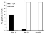 Thumbnail of Number of cows positive for Schmallenberg virus according to reverse transcription PCR (RT-PCR) and ELISA, France, 2012.