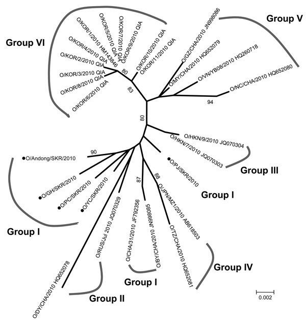 Phylogenetic analysis of viral protein 1 sequences of serotype O foot-and-mouth disease viruses isolated in South Korea (black dots) and other Asian countries, 2010. The tree was constructed by using the neighbor-joining method in MEGA5 (www.megasoftware.net). Percentages in which the associated taxa clustered together in the bootstrap test (1,000 replicates) are shown next to the branches. Scale bar indicates nucleotide substitutions per site. CHA, China; HKN, Hong Kong; JPN, Japan; RUS, Russia