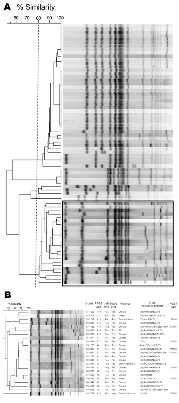 Dendrograms of macrorestriction fragments of all (A) and ciprofloxacin-resistant (B) Salmonella enterica serovar Kentucky isolates identified in Canada, 2003–2009. The dotted vertical line in panel A indicates a cutoff value of 80% similarity, and the box indicates ciprofloxacin-resistant isolates. Left end and Right end in panel B indicate PCR results for presence (Pos) or absence (Neg) of left and right junctions of Salmonella genomic island 1. PFGE, pulsed-field gel electrophoresis; MLST, mul