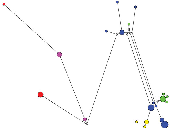 Median-joining network for various subtypes of Cryptosporidium hominis. Circles are proportional to the frequency of each multilocus genotype (MLG) (21 MLGs on the basis of segregating sites of concatenated sequences excluding the 60-kDa glycoprotein gene). The color of each circle represents the 60-kDa glycoprotein gene subtypes of the C. hominis specimens: IaA13R8 (green), IbA10G2 (blue), IdA10 (pink), IdA20 (yellow), and IeA11G3T3 (red). Length of lines connecting MLGs is proportional to the 