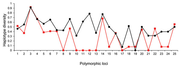 Genetic variation in haplotype diversity at 25 polymorphic loci in chromosome 6 of Cryptosporidium hominis (see Table 2 for identification of loci). Red squares indicate subtype IbA10G2 and black circles indicate non-IbA10G2 subtypes. A homogeneity (reduced haplotype diversity) of subtype IbA10G2 was seen in 4 loci around the 60-kDa glycoprotein gene.