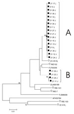 Thumbnail of Phylogenetic tree of hepatitis E virus hypervariable region variants. A neighbor-joining tree of hypervariable region sequences was constructed by using MEGA 4 (15). A and B indicate sequences for virus populations A and B. Sequences from the patient studied here (patient 21) belonging to virus population A are indicated by a solid square, and those belonging to virus population B are indicated by a solid circle. Other sequences obtained in the same laboratory are indicated by an op