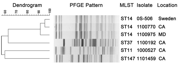 Dendrogram showing pulsed-field gel electrophoresis (PFGE) analysis and multilocus sequence typing (MLST) results for New Delhi metallo-β-lactamase–producing Klebsiella pneumoniae isolates, United States, April 2009–March 2011. Isolates 0S-506 (13), 1100770, and 1100975 showed related PFGE patterns and were identified as MLST sequence type 14. PFGE and MLST results showed that other isolates were more diverse and unrelated to sequence type 14. Scale bar indicates % similarity. CA, California; MD