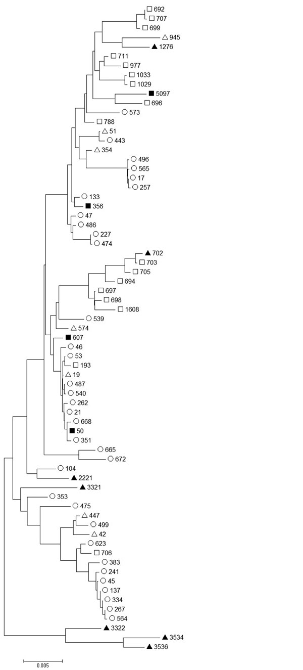 Comparison of Campylobacter jejuni sequence types (STs) from a duck liver–associated outbreak of campylobacteriosis among humans in the United Kingdom during 2011 (solid squares) with published sequence types of isolates from chicken (hollow circles) (9,10), domesticated duck (hollow triangles) (11), wild duck (solid triangles) (11), and wild geese (hollow squares) (12). ST5097 was isolated from a duck liver sample, ST356 from 3 case-patients, and ST50 and ST607 each from 1 case-patient.