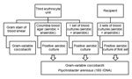 Thumbnail of Flow diagram showing samples collected from the blood donor unit (third erythrocyte unit) and a 58-year-old man (transfusion recipient) and results for isolation and identification of Psychrobacter arenosus, France.