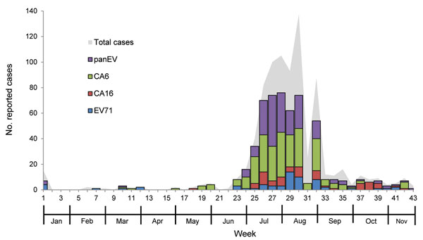 Weekly number of reported suspected cases of hand, foot, and mouth disease and herpangina during outbreak, Thailand, 2012. EV, enterovirus; CA6, coxsackievirus 6; CA16, coxsackievirus 16; EV71, enterovirus 71.