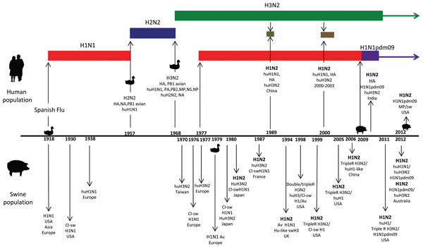 Significant points in the history of influenza viruses that have contributed to the emergence of influenza A(H1N2) viruses in human and swine populations. The bird and swine symbols on the timeline indicate when transmission appeared to occur directly from either avian or swine source into the relevant population. The bird symbols on the 1957 and 1968 time-points indicate that the circulating viruses of the time reassorted with viruses of an avian source resulting in novel subtypes. Significant 