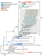 Thumbnail of Maximum-likelihood phylogenetic tree of dengue virus serotype 3 (D3) sequences from Senegal compared with other sequences. The tree was constructed on the basis of an 885-bp segment of the envelope protein gene. Bootstrap values &gt;70 are labeled next to the node. Sequences from different geographic areas are shown by different colors. Gray shading indicates sequences from Senegal and closely related strains. Scale bar indicates nucleotide substitutions per site.