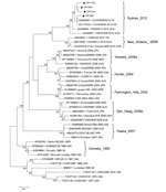 Thumbnail of Phylogenetic tree of norovirus GII.4 capsid nucleotide sequences, Shanghai, China. The dendrogram was constructed by using the neighbor-joining method in MEGA version 5.0 (8). Bootstrap resampling (1,000 replications) was used, and bootstrap values ≥70% are shown. Black triangles indicate the 4 representative strains detected in Shanghai (GenBank accession nos. KC456070–KC456073). Reference sequences were obtained from GenBank and are indicated by GenBank accession number, strain na